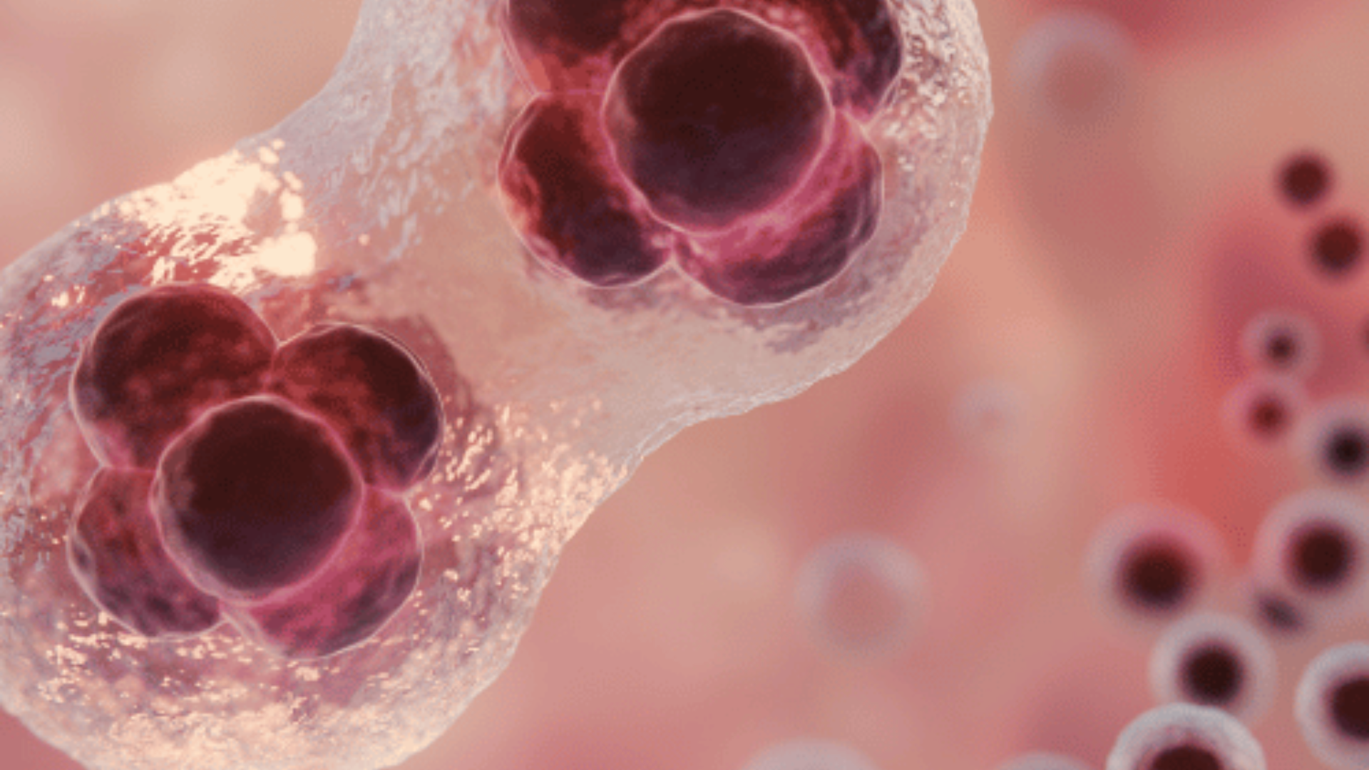 estimulación ovárica